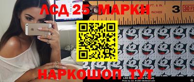 стаф Малгобек