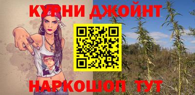 индика Лесосибирск