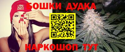 стаф Малгобек