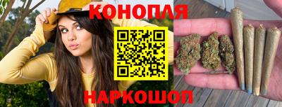 индика Лесосибирск