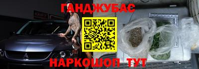 индика Лесосибирск
