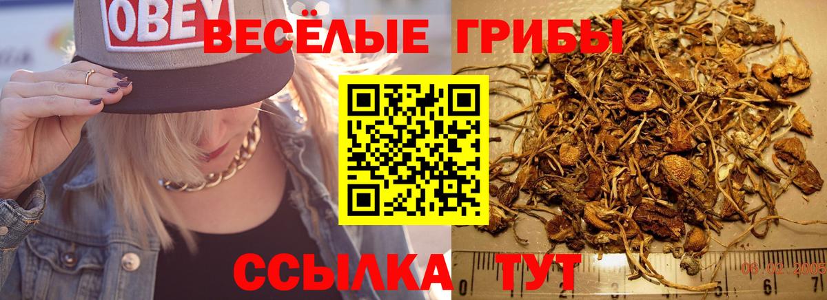 Псилоцибиновые грибы мицелий  Псилоцибиновые грибы MAGIC MUSHROOMS  Вход с VPN  Ивантеевка 